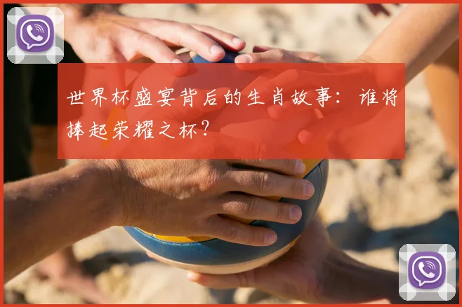 世界杯盛宴背后的生肖故事:谁将捧起荣耀之杯?