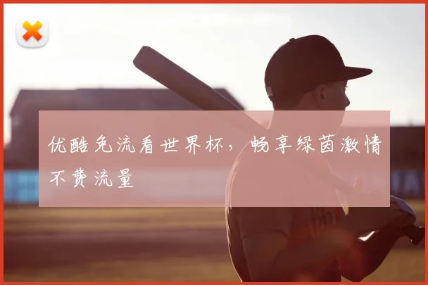 优酷免流看世界杯,畅享绿茵激情不费流量
