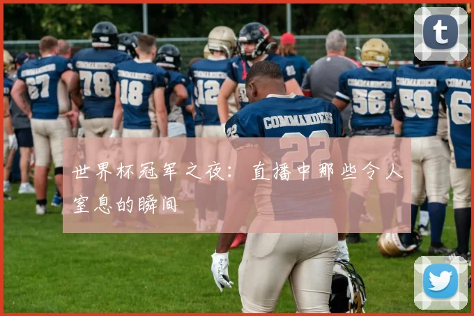 世界杯冠军之夜：直播中那些令人窒息的瞬间