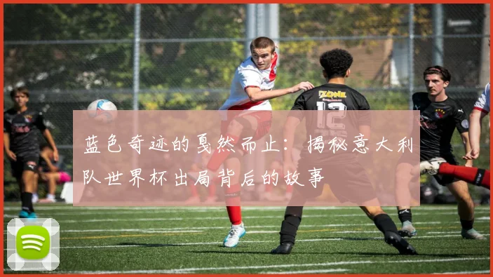 蓝色奇迹的戛然而止：揭秘意大利队世界杯出局背后的故事